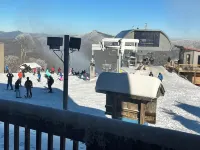 Always In Season Ski In/OutCozy getaway just steps away from Omas Meadow