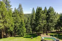 Beautiful Rustic Cabin on 5 Acres With Heavenly Views