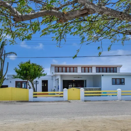 Oceanfront @ Mangel Halto Beach, Snorkel, Scuba, Beach