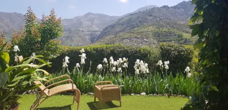 La Almunia del Valle Отели в г. Моначиль