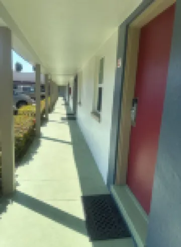 Tropical Palm Motel Hotels in North Fort Myers