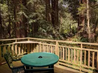 Emerald Forest Cabins Hotels in Trinidad