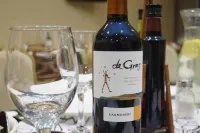 Hotel Ontiveros Hotels in Colchagua