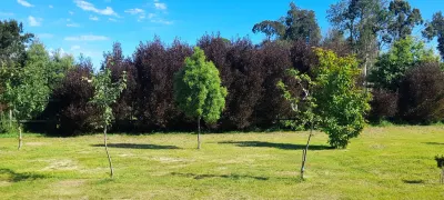 Cabañas Lago Azul Отели в г. 