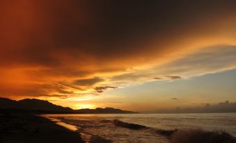 Viajero Tayrona Hostel & Ecohabs