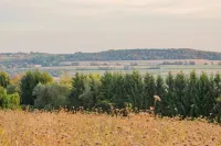 Charming Barn apt Skaneateles farm4 Hotels in Spafford