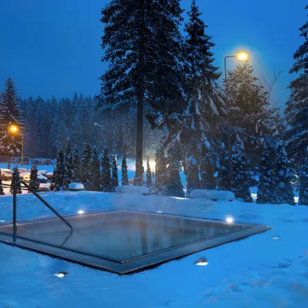 Ana Hotels Bradul Poiana Brasov