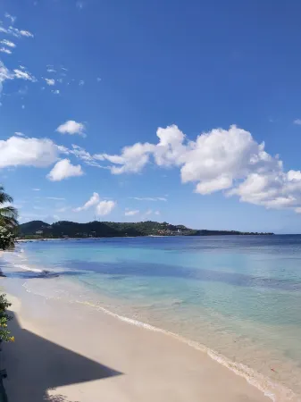 Grand Anse Beach Palace Отели в г. Ред Гейт