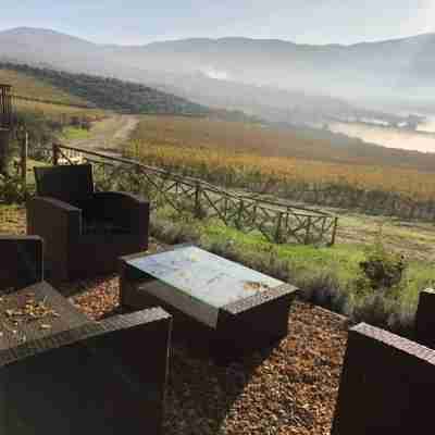 AZIENDA AGRICOLO IL POGGIOLINO Others