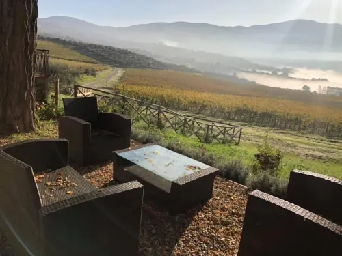 AZIENDA AGRICOLO IL POGGIOLINO Hotels in Pelago