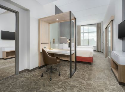 SpringHill Suites Athens Downtown/University Area