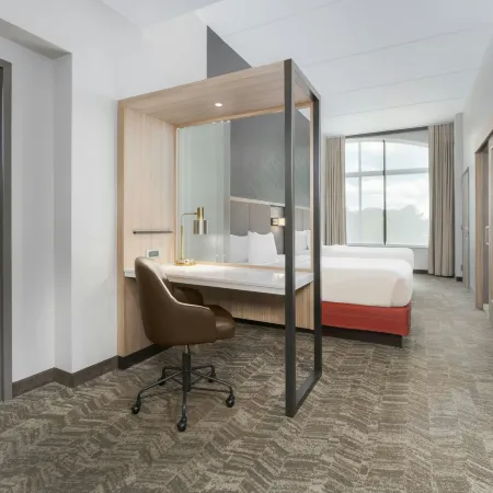 SpringHill Suites Athens Downtown/University Area
