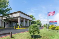 Plaza Inn & Suites - Pet friendly