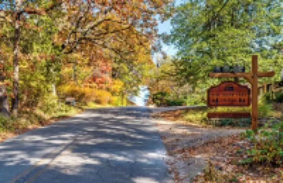 Cozy studio located STEPS from the UofA campus and nestled in secluded woods!