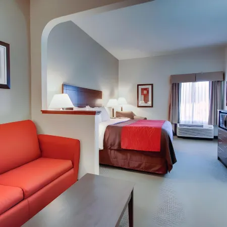 Comfort Inn Moss Point Pascagoula