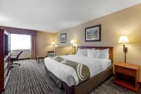 Days Inn by Wyndham Wellington Fort Collins Area