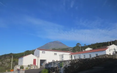 Villa Lucinda ..... Lajes Do Pico 호텔
