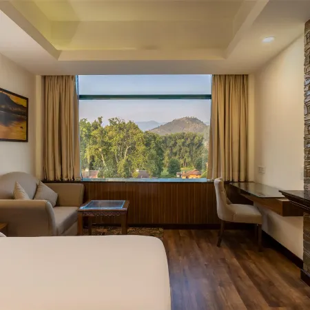 Radisson Srinagar
