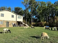 Lovely Farm Cabin Experience