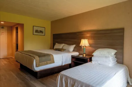 Hotel Cowansville Отели в г. Бригам