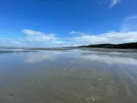 Ocean View and Deck - Beautiful Coastal Studio Retreat Hotels in Moclips