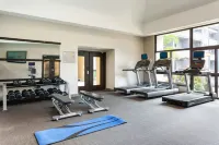 코트야드 세인트 피터스버그 클리어워터