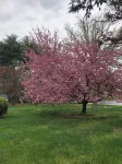 Adorable Bucks County Getaway