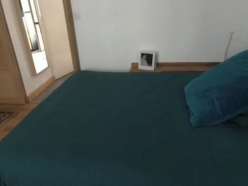 Magnificent apartment in the center of Angers with small garden