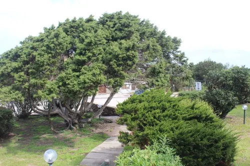 Villa sea view Pelosa beach Hotels in Stintino