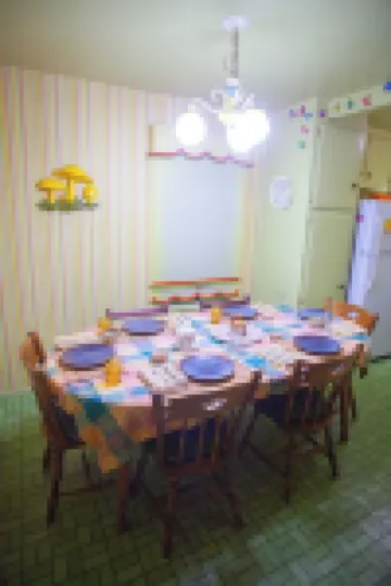 1940s Storybook Knotty Pine Cabin in Crestline, Absolute Privacy