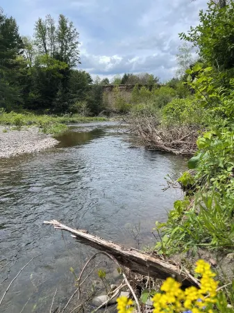 Charming 2-bedroom cabin in enchanting Gilboa with WiFi