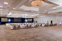 Innisbrook Resort Hotels in Palm Harbor