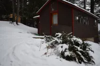 Authentic ADK cabin minutes to Rail Trail, mountains, Lake Placid! Hotels in Saranac Lake