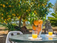 Son Rossinyol - Apartment With Private Pool Hotels in Llubi