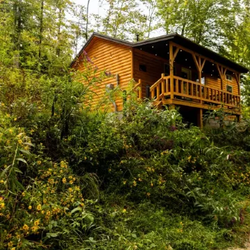 Peaceful Cabin in the Forest with Hot Tub & Views - Hill Haven