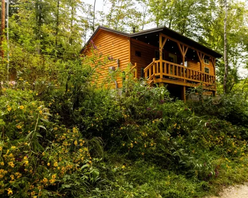 Peaceful Cabin in the Forest with Hot Tub & Views - Hill Haven Hotels in Wolfe County