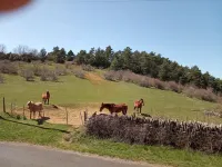 Maison Ancienne Caussenarde à Quelques km des Gorges du Tarn