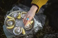 Asure Townsman Motor Lodge