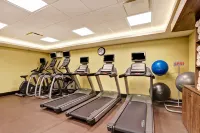 Holiday Inn MISSISSAUGA TORONTO WEST by IHG - Træningscentre
