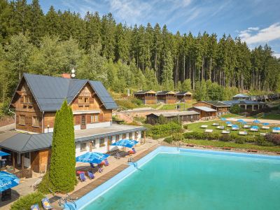 Luxe Timber Lodge & Pet Retreat