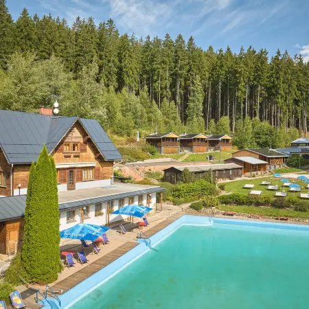 Luxe Timber Lodge & Pet Retreat