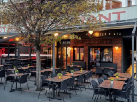 Elite Hotels in Visp