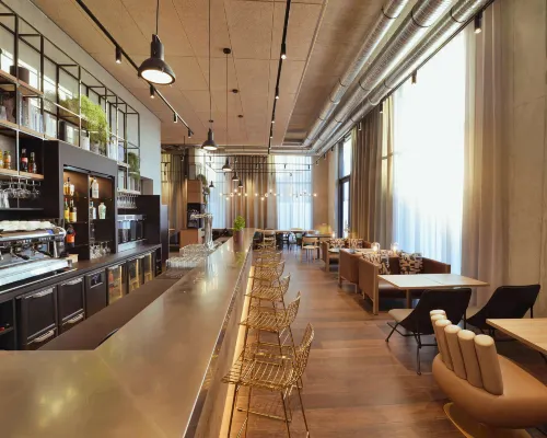 阿訥馬斯中心日內瓦港諾富特 休閒及娛樂 Photos