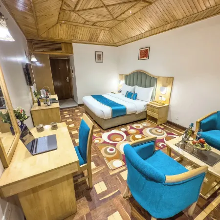 Bravia Hotel Manali Inn