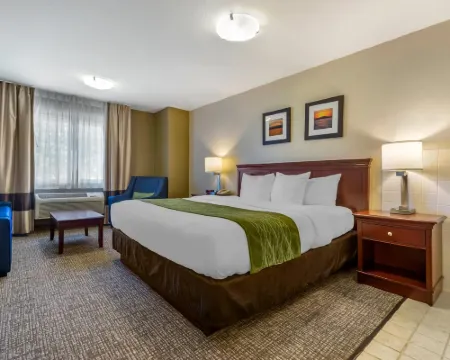 Comfort Inn Kennewick Richland Hotels in Kennewick