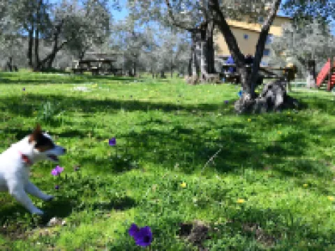 Fattoria di Maiano Hotels in Fiesole