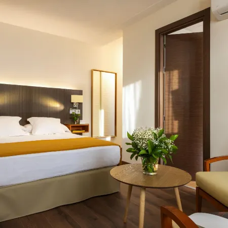 Hotel de Francia y París