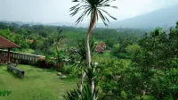 Villa Petra Ungaran