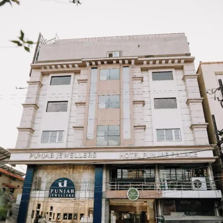 Hotel Punjab Palace