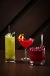 漢堡施柏閣酒店 - 酒吧